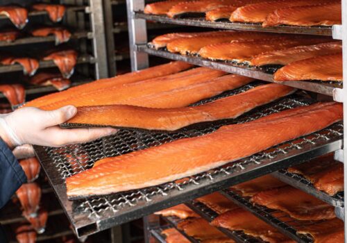 WhatsApp Image 2026-02-16 at 10.24.03 AM