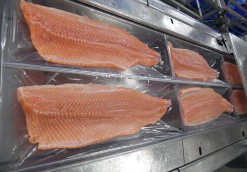 WhatsApp Image 2026-02-16 at 10.25.12 AM