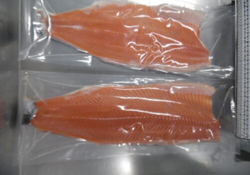 WhatsApp Image 2026-02-16 at 10.25.13 AM