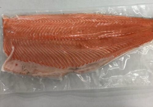 WhatsApp Image 2026-02-16 at 10.25.15 AM (1)