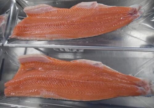 WhatsApp Image 2026-02-16 at 10.25.15 AM