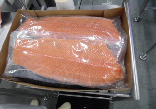 WhatsApp Image 2026-02-16 at 10.25.16 AM