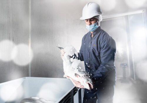 WhatsApp Image 2026-02-16 at 10.25.41 AM