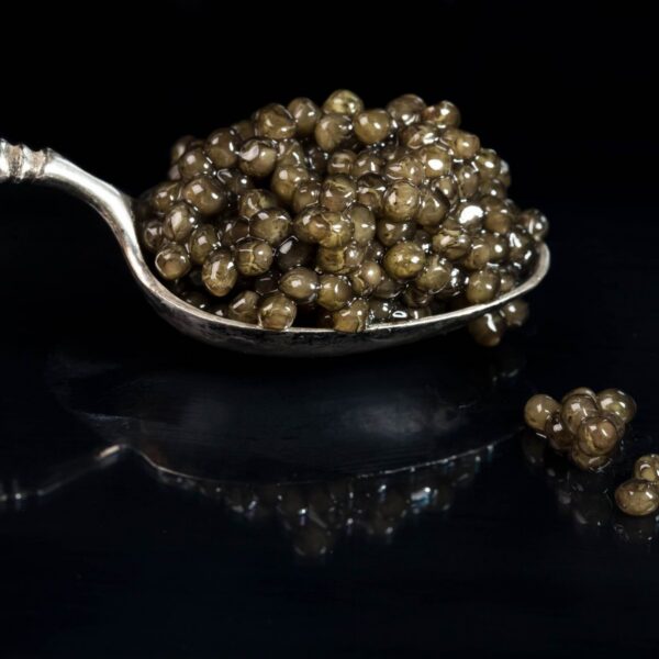 Beluga Caviar