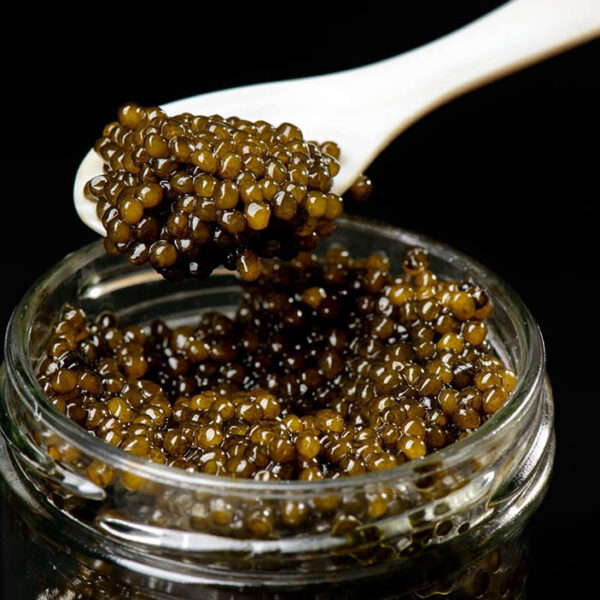 Beluga Caviar